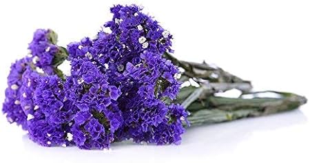 Statice Violet Lavande De Mer Marais De Feuille De Notch Romarin Rose De La Mer Lavande De Mer Wavyleaf Graines Amazon Fr Jardin