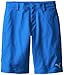 Puma Golf Boys Junior Tech Short, Strong Blue, Large