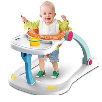 multifunction walker