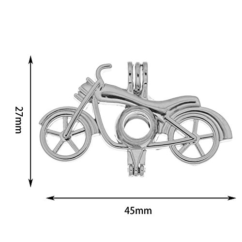 12pcs Mixed Horse Bicycle Motorcycle Transportation Rhodium Plated Hollow Pendants Pearl Bead Cage Pendant Essential Oil Scent Diffuser Pendant Necklace Jewelry Making Supplies (Style5)