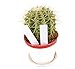 TIAMALL 200PlantTags PlantTags Plant Tags, Strip