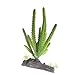 emours Cactus Plastic Plant Aquarium Ornament Fish Tank Desert Reptile Decoration