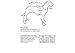 Geega Pet Soft Comfortable No Pull No Slip Adjustable Dog Vest Harness with Handle Reflective Strip for Small Medium Big Size Breed Outdoor Training Walking Hiking