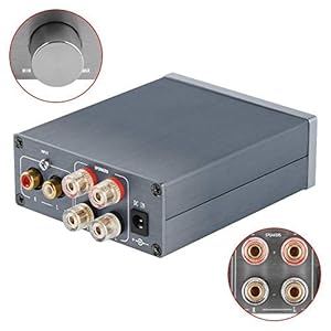 Fosi Audio 2 Channel Stereo Audio Class D Amplifier Mini Hi Fi