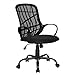 GreenForest Office Chair for Computer Desk Mesh Mid-Back Swivel Task Chair with Special Design Back,Black