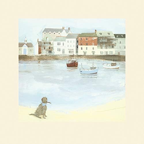 Art Group Hannah Cole (Cornish Sea Dog) - Mounted Print 40 x 40cm, 40 x 40 x 1.3 cm, Multicoloured
