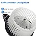 AUTEX Front HVAC Blower Motor Assembly Heater Blower Motor with Fan Cage 700012