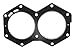 Sierra International 18-2956 Marine Head Gasket for Johnson/Evinrude Outboard Motor primary