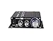 Kinter K2020A+ Limited Edition Original Tripath TA2020-020 Class-T Hi-Fi Audio Mini Amplifier with 12V 5A Power Supply Blackthumb 4