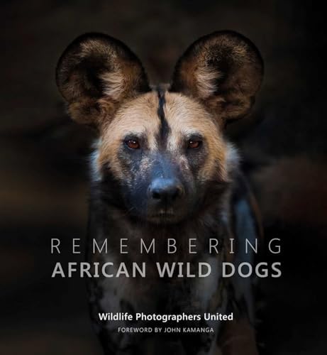 Wild Dogs of the World: Cox, Barbara G.: 9780997374506: Amazon.com