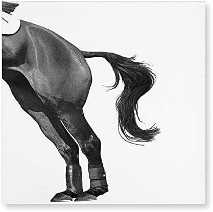 Mike Kathleen Canvas Print Wall Art Painting Knight Horse Jumping (1) for Home Decoration 15.7x15.7 inch