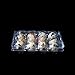 [12 Pack] Quail Eggs Storage Box Organizer Holder,12 girds Holder for a dozen Quail Eggs,Clear Plastic Premium Eco-Friendly Quail Eggs Tray for Family Pasture Farm Business Market Food Factory