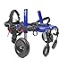 Walkin' Wheels Small Dog Wheelchair, Lightweight Dog Wheelchair for Back Legs, 11-14 lbs, for 3-6 inches Leg Height - Blue