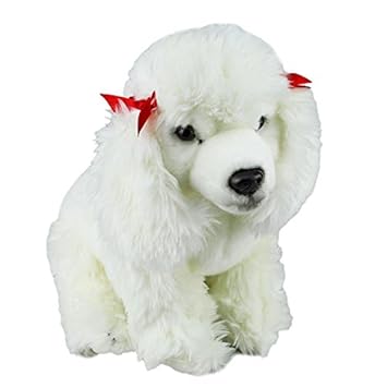 baby poodle white