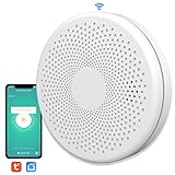 Smart WiFi CO and Smoke Alarm Detector 2 in 1