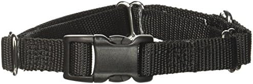 GoGo Pet Products GoGo 5/8-Inch Martingale Dog Collar, Small, Black