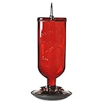 Perky-Pet 8109-2 Antique Glass Bottle Hummingbird Feeder-16-Ounce Capacity, Red