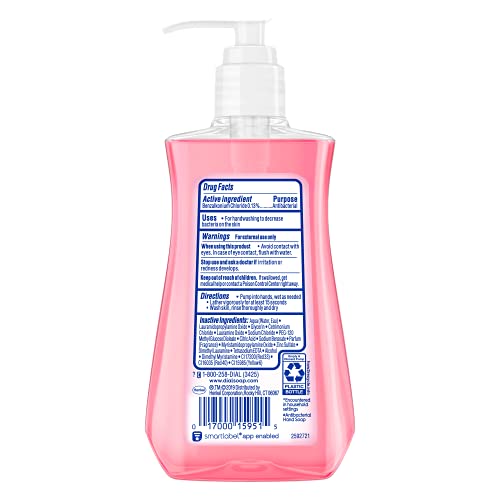 Dial Antibacterial Seasonal Collection Liquid Hand Soap, Sweet - Main Image