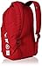 LRG Men's Core Collection One Backpack