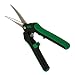 GROW1 Titanium Coated Curved Blade Trimming Scissors, Small, Green