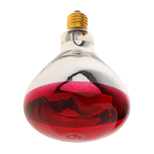 B Blesiya 4 Stück 220V E27 Wärmelampe Wärmespotlampe Infrarotlampe Terrarium Heizung Lampe - Typ 3-100W – Bild 7