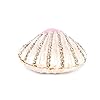YU FENG Seashell Trinket Jewelry Boxes Hinged,Crystal Jeweled Sea Shell Figurine Collectible,Sea Animal Figures Decor… 41QR0H49zyL. SS100
