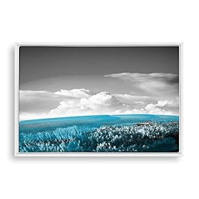 Framed Black and White Scenery Home Artwork for...