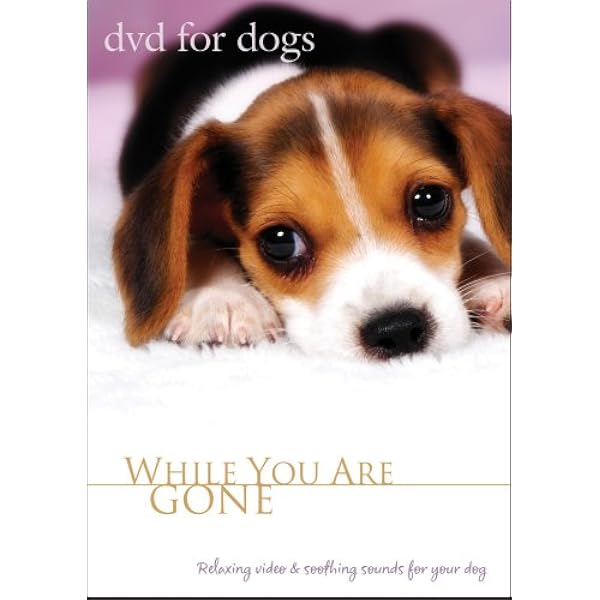 DOGS CAN’T SEE THE VIDEO+4CLIPS [DVD] DOGS CAN'T SEE THE VIDEO+4CLIPS [DVD] DOGS CAN'T SEE THE VIDEO+