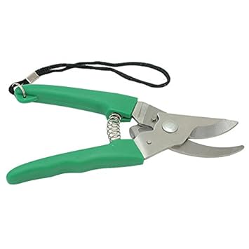 Cutter Garden and Plant Flower Leaf Cutter or Hand Pruner Scissor