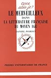 Le merveilleux dans la littérature française du Moyen Age by