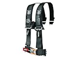 Pro Armor (A114230) 4-Point Harness with 3