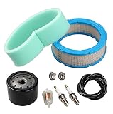 394018S 272490S Air Filter 691035 Fuel Filter 492932S Oil Filter for Briggs & Stratton 392642 394018 271271 272490 Vanguard V-Twin 12.5-21hp Engine John Deere LT166 with spark plug & tubing by LIYYOO