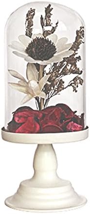 Myun Glass Cloche Bell Jar Display Dome With Iron Tray Base For Artificial Flower Dry Petals Plants Home Decoration
