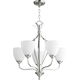 Quorum 6127-5-65 Transitional Five Light Chandelier from Jardin Collection in Pewter, Nickel, Silver Finish,