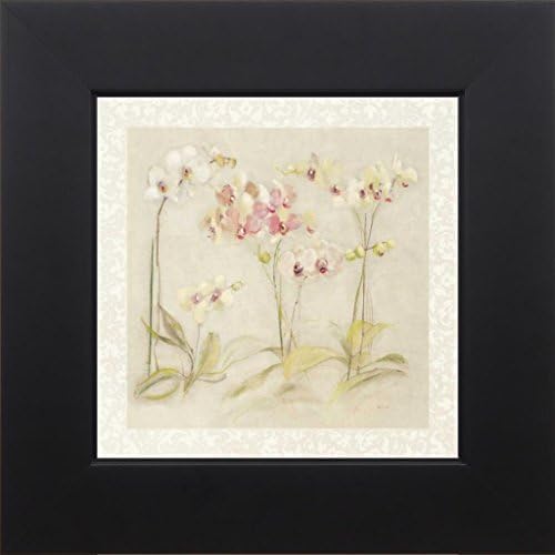 7x7 The Dance of the Orchids by Blum, Cheri: Studio Black 7633