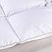 ROSECOSE Luxurious Goose Down Comforter King Size Duvet Insert All Seasons Solid White Hypo-allergenic 1200 Thread Count 750+ Fill Power 100% Cotton Shell Down Proof with Tabs (King, White)