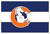 Denver Broncos on Colorado State Flag 4