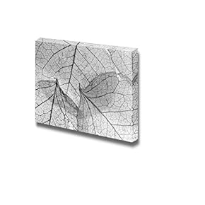 Background Textured Image Made of Delicate Leaf Veins Wall Decor