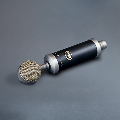 Blue-Microphones-Baby-Bottle-SL-Large-Diaphragm-Condenser-Microphone