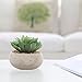 MyGift Life-Like Green Artificial Succulent Plant in Round Modern Gray Ceramic Decorative Planter Pot