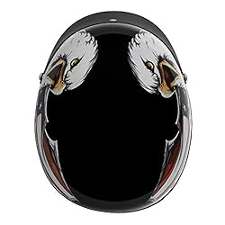 VCAN Cruiser Patriotic Eagle USA Graphics