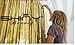 ShiDianYi Foil Fringe-Backdrop-3FTX8FT Metallic Foil Fringe Curtain/Photo Backdrop/Hanging Tinsel for Window Curtains (Gold)