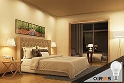 Oires 60W Equivalent LED Light Bulb 800 Lumens A19