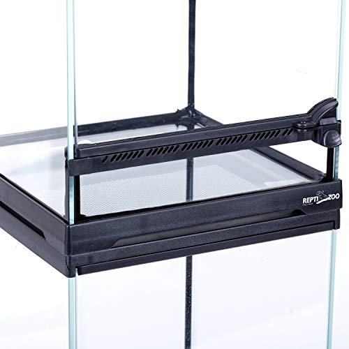 5 REPTIZOO+Terrarium+Visually+Appealing+Amphibians