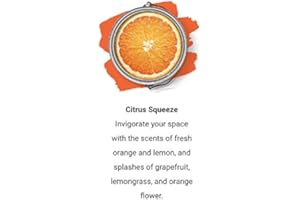 Paint Scentsations 106-01 Citrus Squeeze 1-Ounce Packet, Pack of 8
