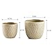 Greenaholics Plaid Yellow Ceramic Flower Pots - 6 Inch + 4.7 Inch Indoor Planters with Drainage Holes for Bonsai Succulents Set of 2