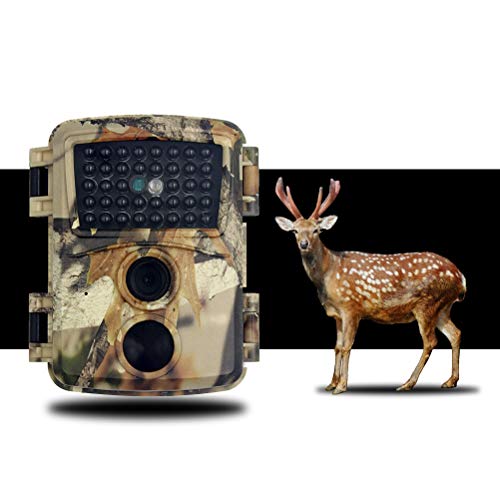 Rsoamy Nachtsicht Wildkamera, Digital HD 1080P Tierkamera, IP66 wasserdichte Kamera für die Wildwildjagd, Erkundung von…
