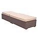 Patiorama Patio Chaise Lounge Chair, Sun Lounger, Outdoor Pool Beach Brown PE Rattan Wicker Reclining Chair W/Adjustable Backrest, Weather Cover, and Removable Cushion (Beige)