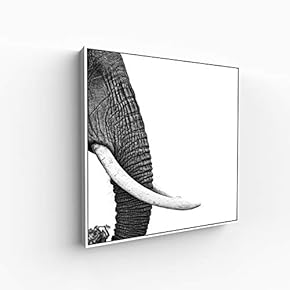 Canvas Wall Art for Living Room, Bedroom Portrait Framed Canvas Prints for Home Decoration Ready to Hang - 16x16 inches