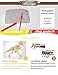 AKINGSHOP Dinosaur Excavation Kits for Kids,Dino Dig Kits T-Rex,Dinosaur Fossil Excavation Kits for Kids,Children's Popular Science Education Toys - Dinosaur DIY Toys (T-Rex), White